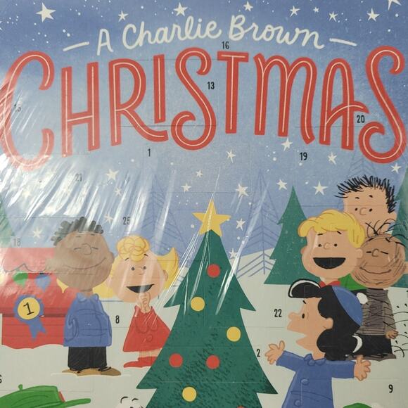 Hallmark Peanuts Charlie Brown Countdown to Christmas Advent Calendar - Picture 4 of 14